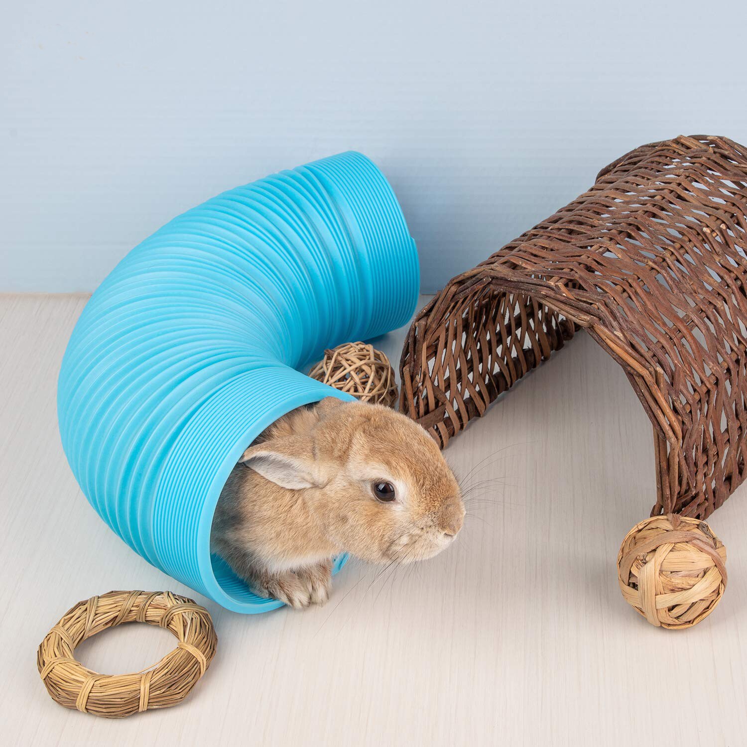 Fun Hamster Tunnel Oefening Tube Interactieve Training Speelgoed Voor Cavia, Chinchilla, Ratten En Dwerg Konijnen Dierbenodigdheden