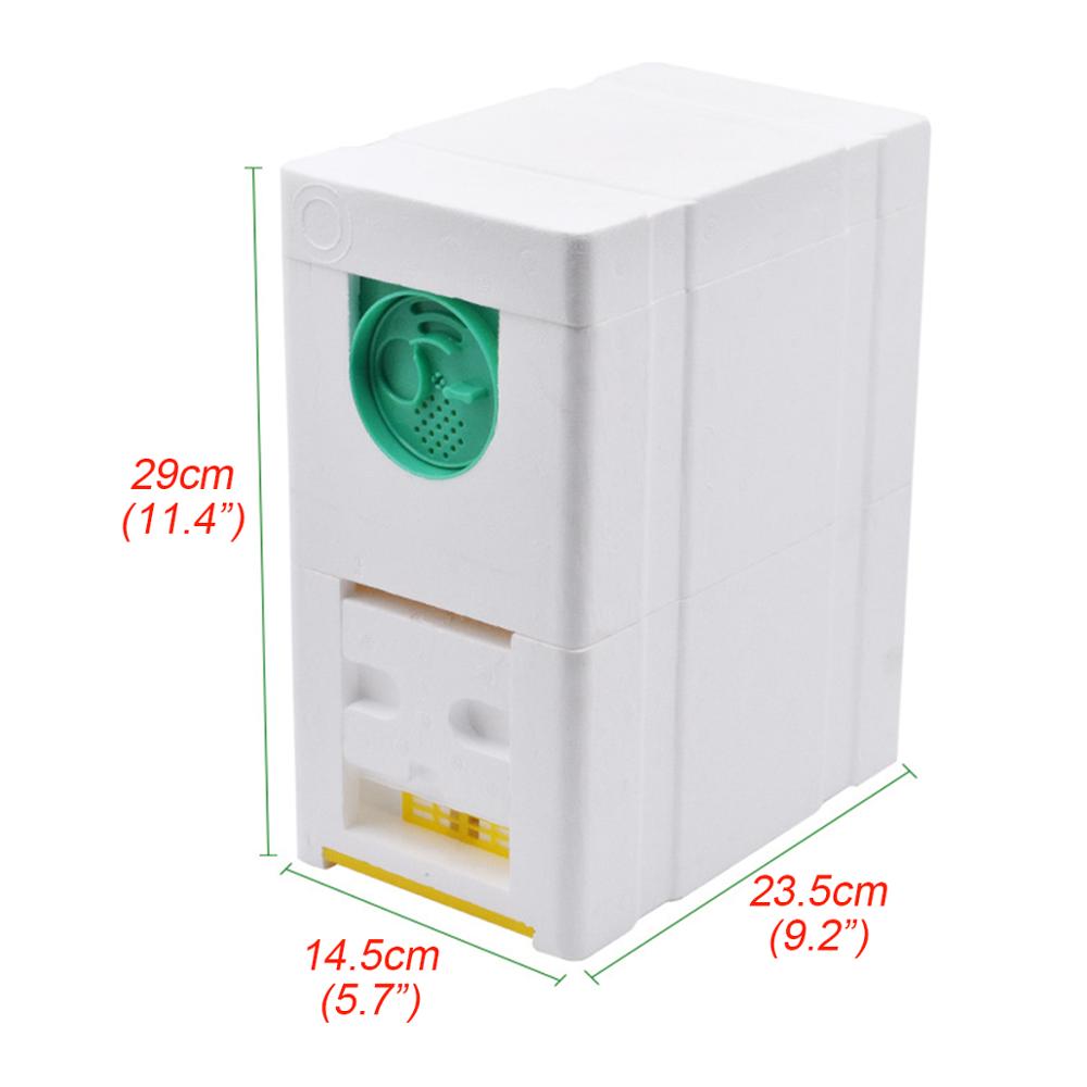 Caja de cría de abejas automática, suministros de espuma de colmena, herramienta de doble capa