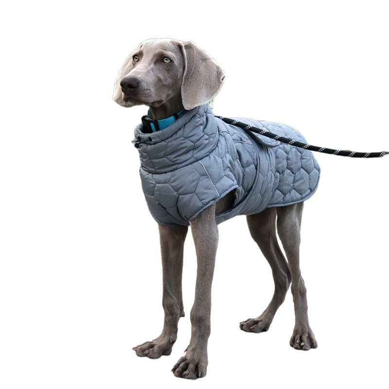 Vêtements chauds d'hiver pour chiens, combinaison de neige épaisse et réfléchissante, doudoune pour chiens de grande race, Parkas, vêtements pour Whippet Greyhound