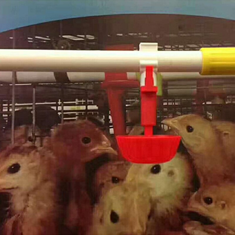 Automatic Chicken red Cup Waterer Bowl Kit Farm Coop Poultry Waterer Drinking Feeder Tool for Chicks Duck Goose Turkey Quail Acc