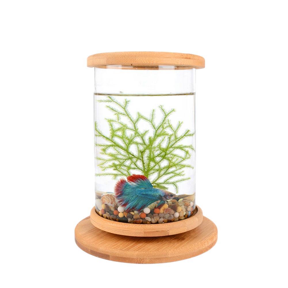 Mini pecera de vidrio con Base de bambú, decoración giratoria de pecera, botella ecológica, accesorios de Acuario, 1 ud.