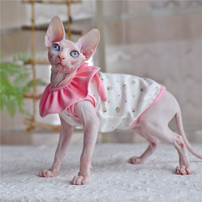 Sphynx gatto vestito fiore carino fragola maniche a sbuffo abiti per gatti senza peli vestiti per gatti gonna senza maniche sottile estiva