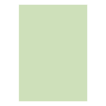 100 arkkia värillistä  a4 kopiopaperia 80g moniväristä päällystämätöntä paperia 12 väriä valittavana: Vaaleanvihreä 100 arkkia