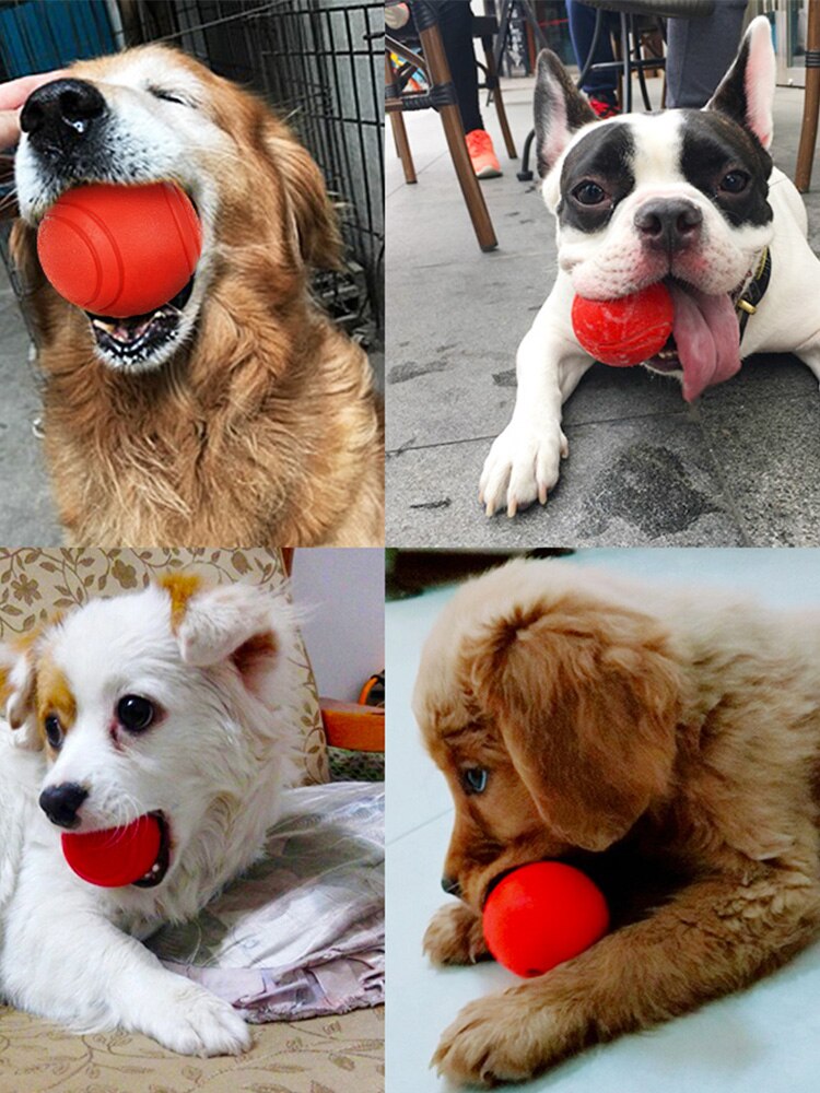 Pelota de entrenamiento para mascotas, equipo de entrenamiento para perros grandes, pastor alemán al aire libre, juguetes para Pies, Akcesoria, suministro para perros EH50DT