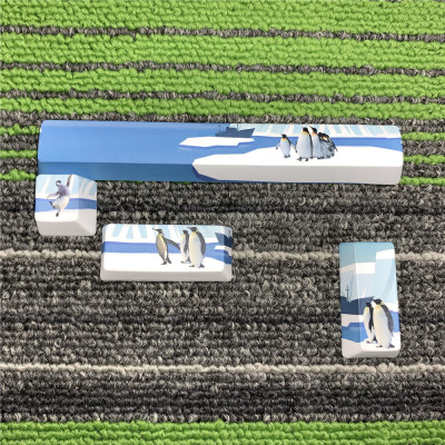 4 Toetsen/Set Spatiebalk Esc Voer Keycap Mechanische Toetsenbord Individualiteit Key Cap Voor Mx Schakelaars Sakura Pinguïn Walvis Set