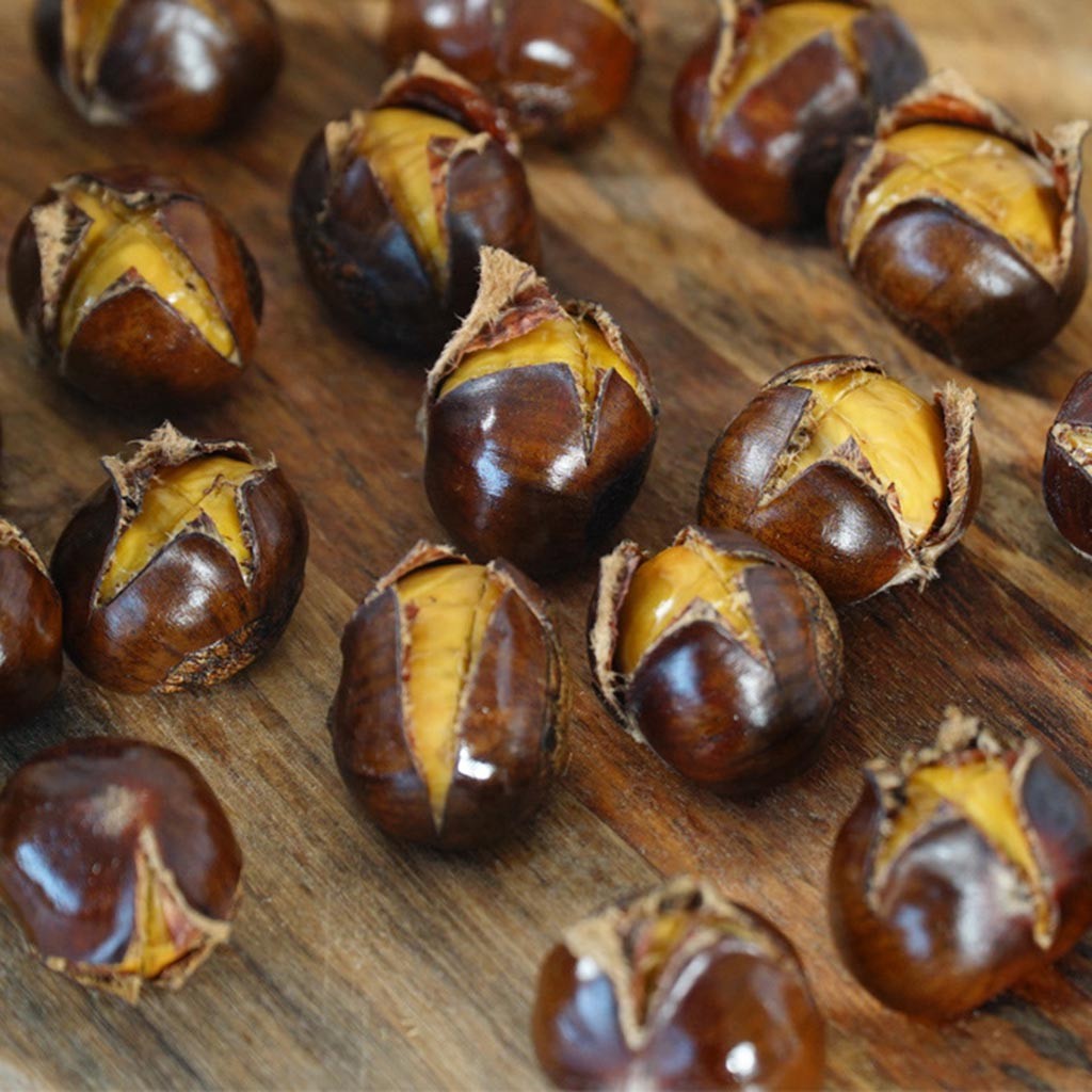 Stainless Steel Chestnut Clip Plastic Stainless Steel Walnut Clip Sheller Chestnut walnut Opener kitchen tool