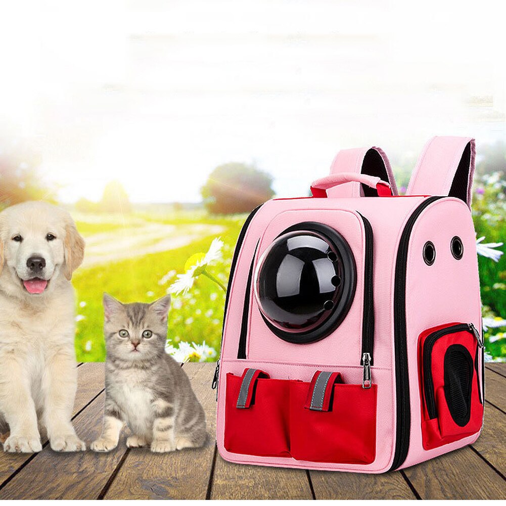 Pet Carrier Rugzak Kat Bubble Capsule Sholder Zakken Hond Carrier Voor Kleine Honden En Puppies Luchtvaartmaatschappij Goedgekeurd Katten Carring tassen