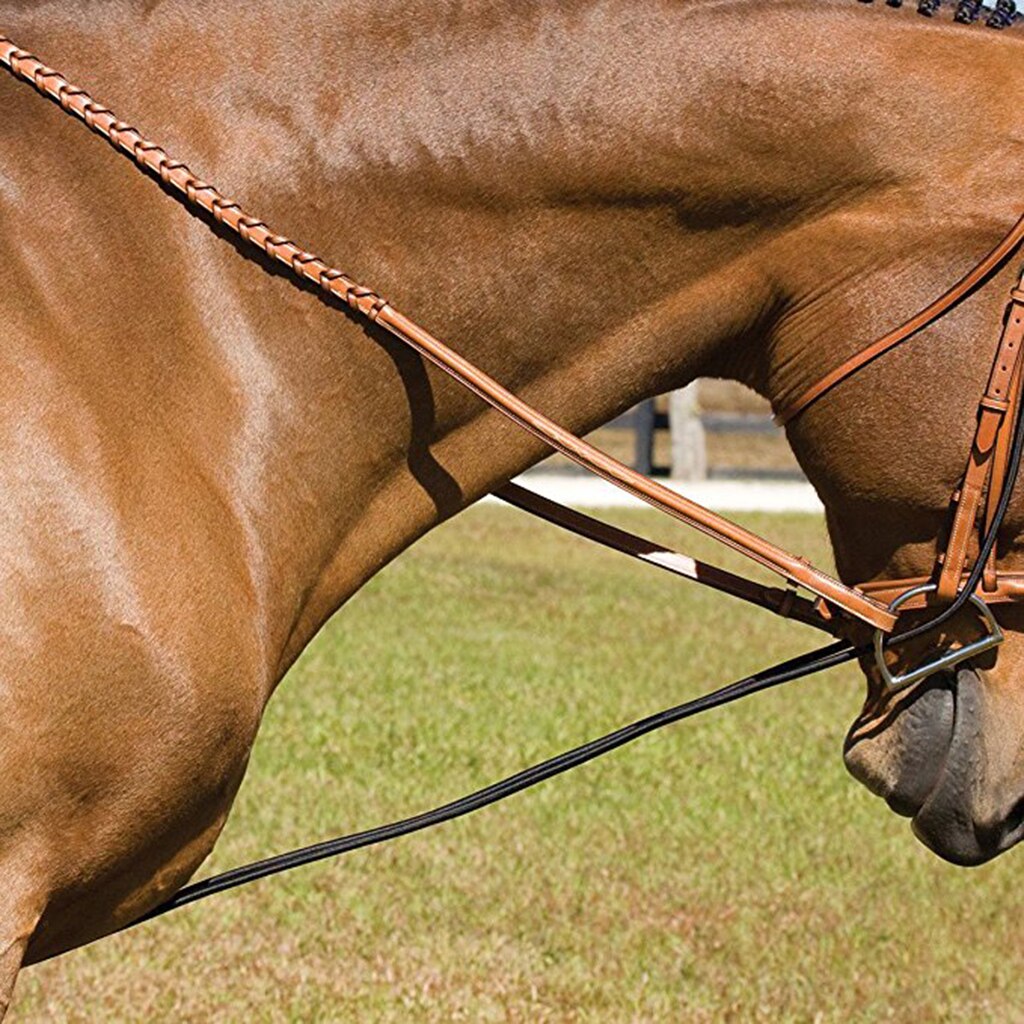 Zwart Paard Nek Brancard Paard Training Grooming Tool Paardensport Levert