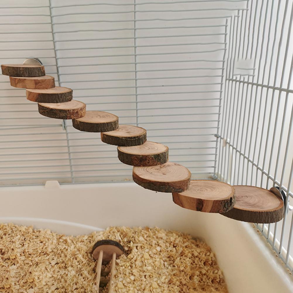 Moisture-proof Eco-friendly Mouse Long Climbing Ladder for Small Animal