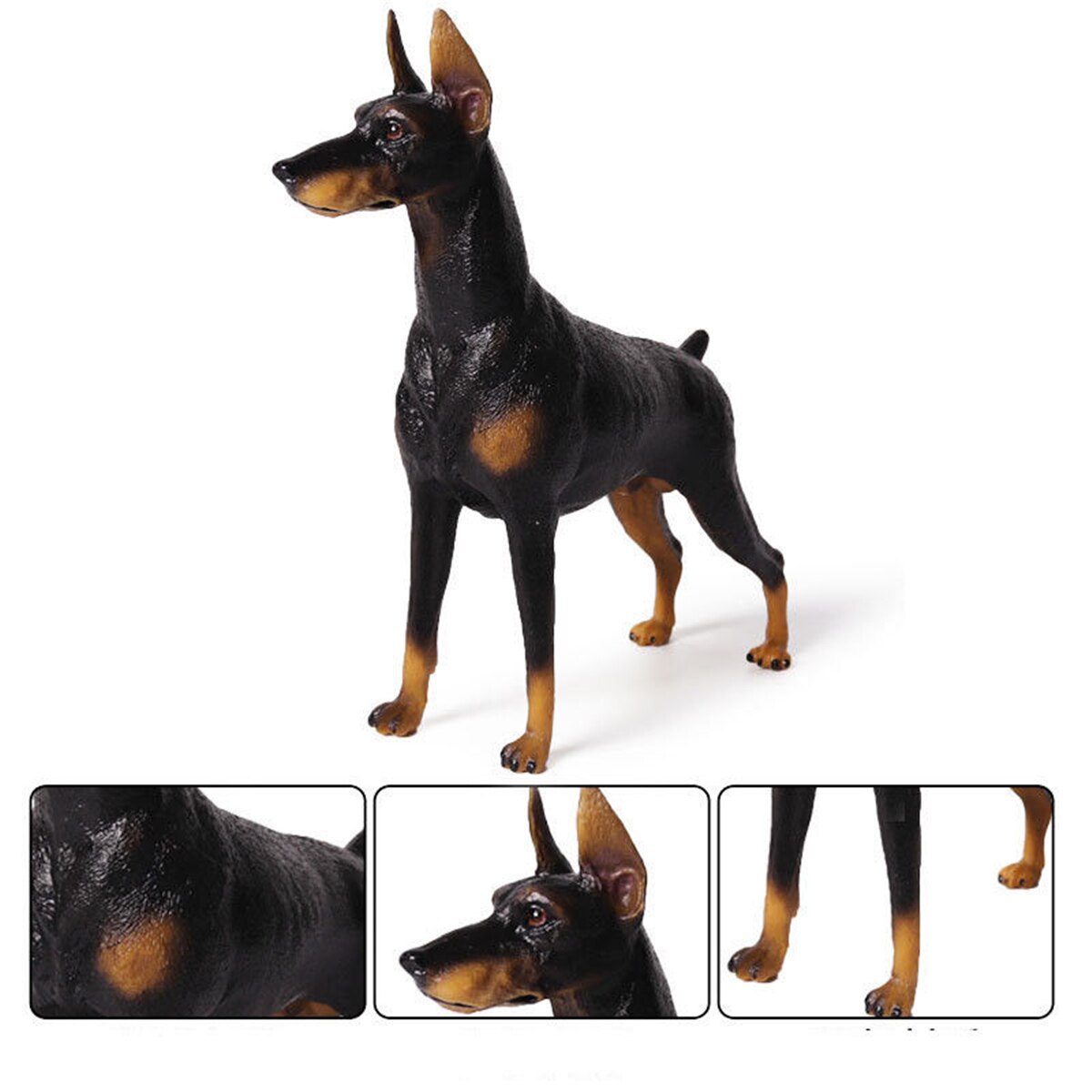 Tysk dobermann pinscher hund kjæledyr dyr figur modell leketøy samler pedagogisk leker modell dekorasjon låve bursdag
