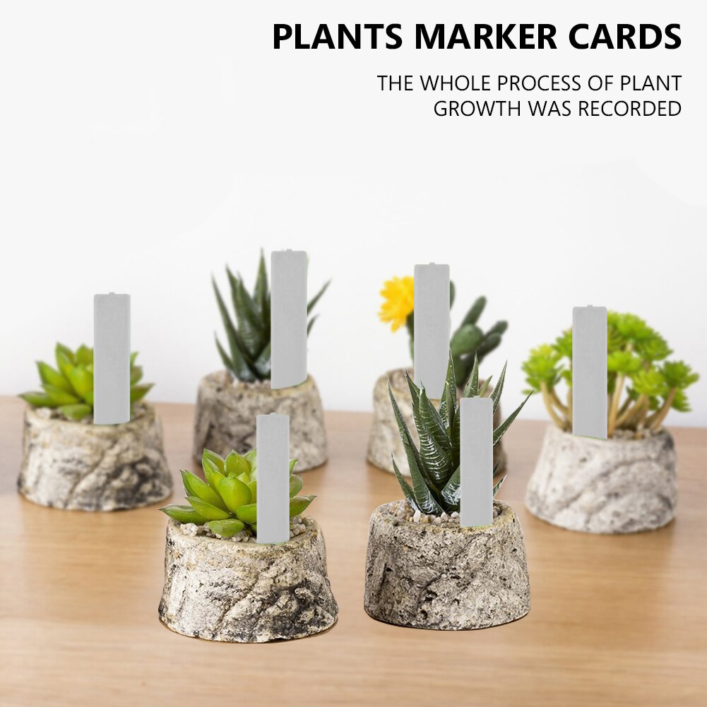 100 st växtetiketter, pålar, växtetiketter, plantskolemarkörer, blomkrukor, plantetiketter, brickmärke, trädgårdsredskap