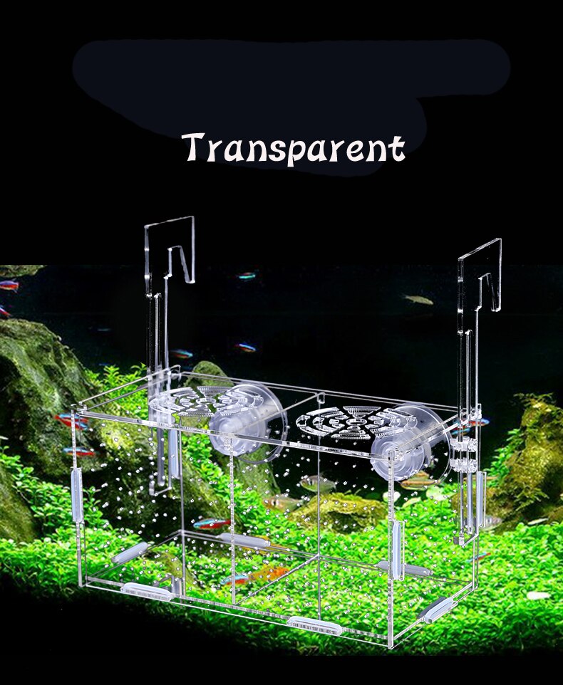 Aquarium fish tank isolation box fish breeding box transparent acrylic hatching box protection turtle fry 10*10*10CM