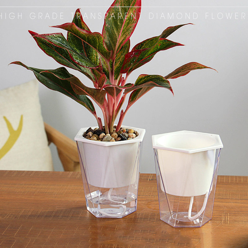 Maceta transparente de doble capa para plantas, maceta para decoración de hogar, jardín, escritorio, autorriego, PotOCT998