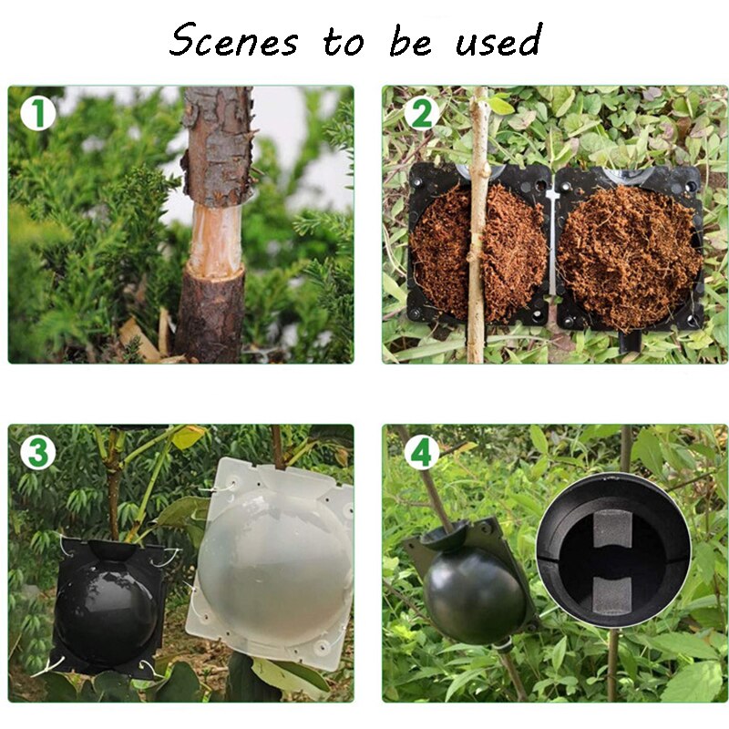 Reusable Tree Root Growing Box, Rooting Ball Grafting Tools, High Pressure Propagation Ball Grafting Device