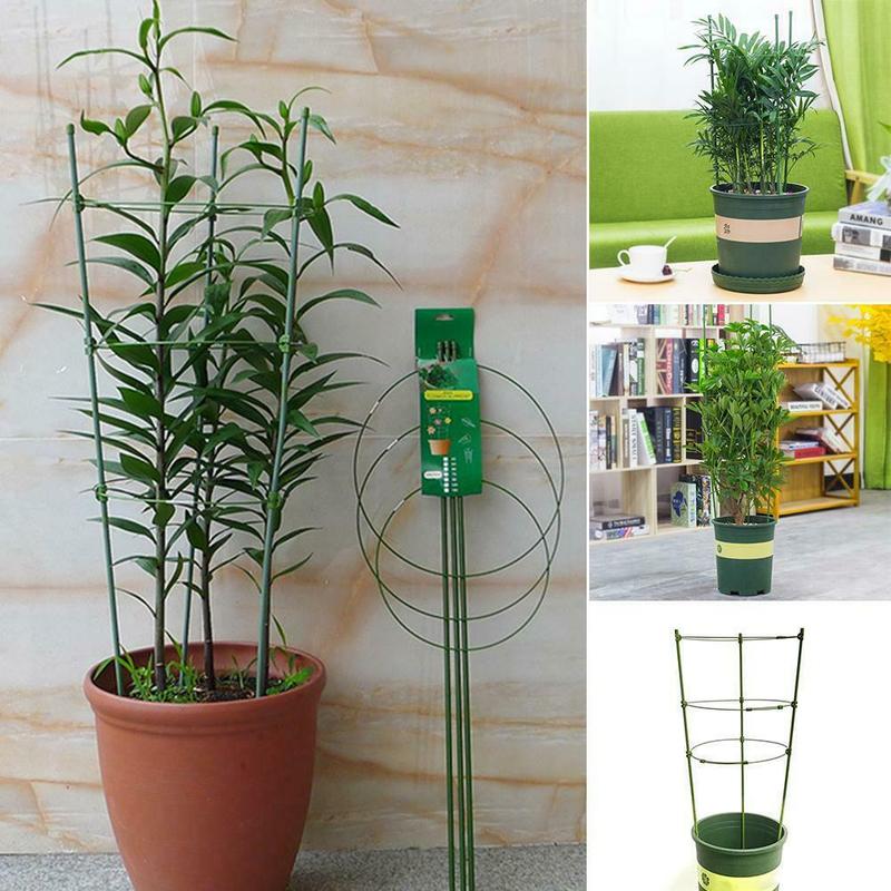 Holdbart klatreplante støttebur hage espalier blomster tomatstativ med 3 ringetone hagearbeid tomatbur