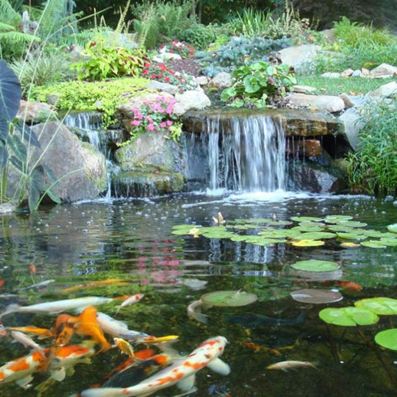 20Stck Sechs Winkel Fisch Teich Netz Protektoren Fischteich Netze Kunststoff Fisch Wachen Profi Teich Gittergewebe für Heimat Einkaufen (schwarz)