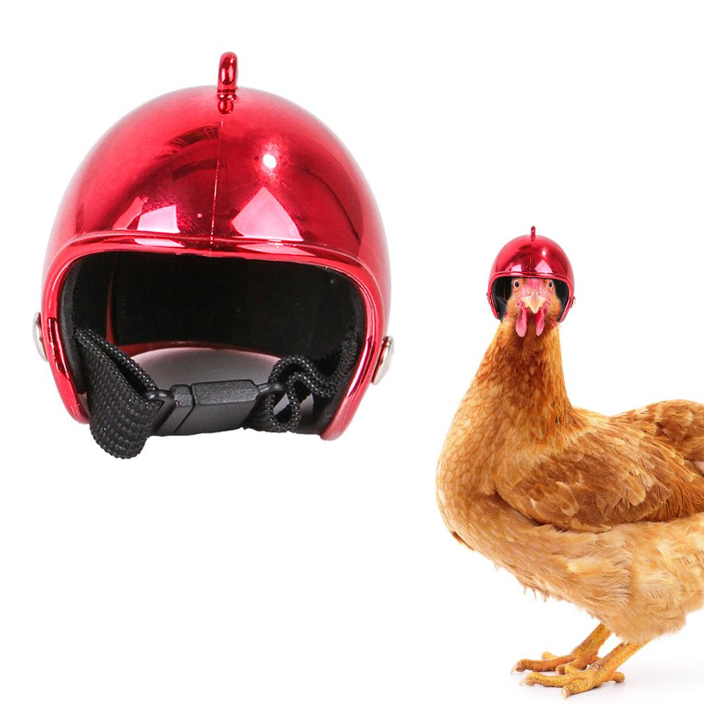 Mini kæledyr kylling hjelm sjov beskyttende kylling hjelm høne fugl hat hovedbeklædning plast fugle dekoration hjelm: Rød