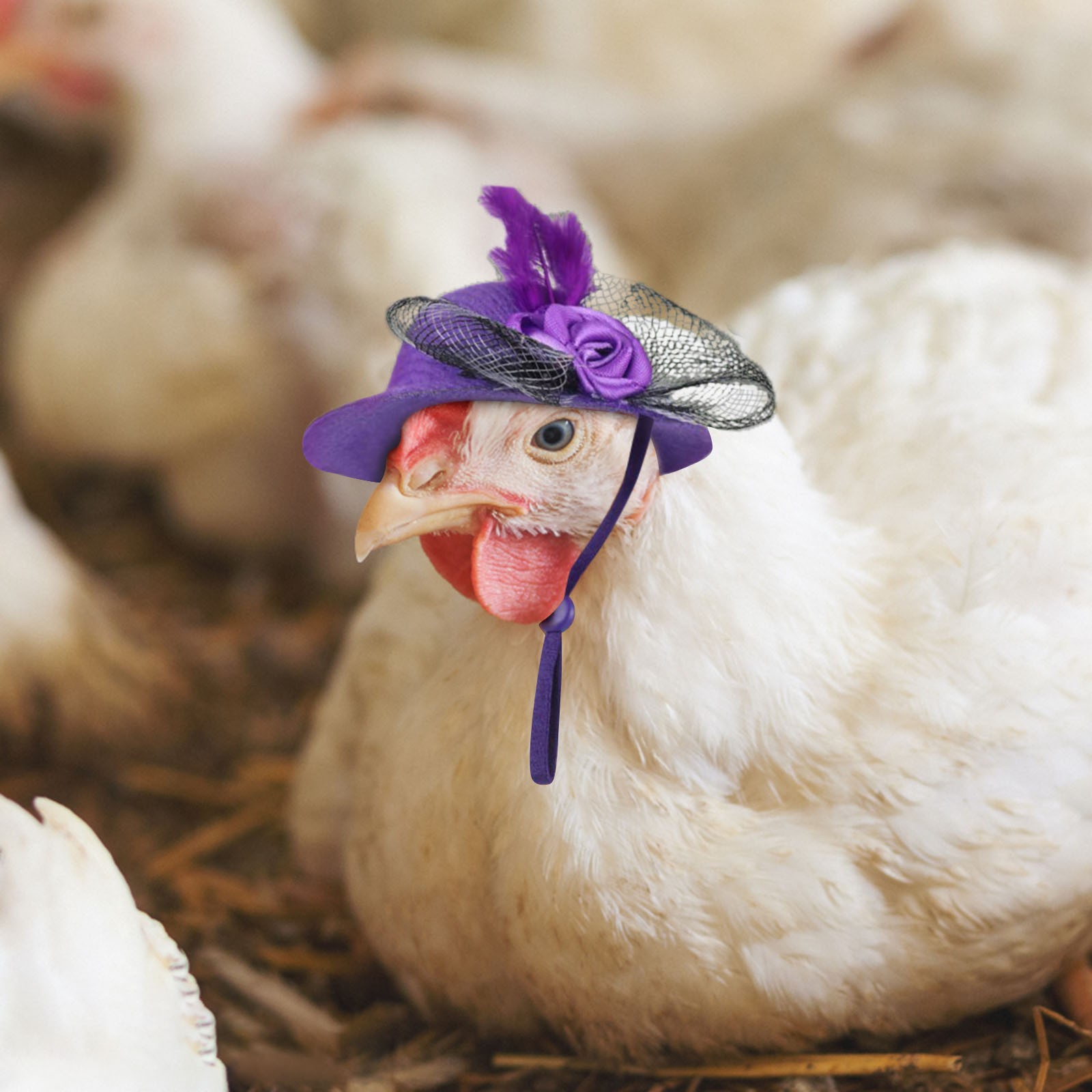 Hühner Hütte für Hühner winzige Haustiere lustige Hühner zubehör Henne Zylinder für Hahn Ente Papagei Hamster GeflüGel stilvolle Show Kostüm