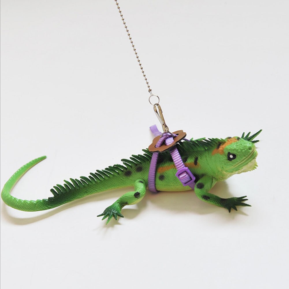 Skægget drage krybdyr firben gecko critters justerbar sele snor holde reb: Lilla