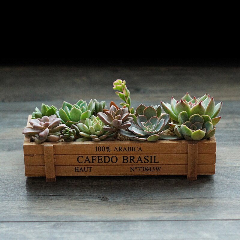 Pink Blue Green Garden Plant Pot Decorative Vintage Succulent Wooden Boxes Crates Rectangle Table Flower Pot Gardening Device: Brown