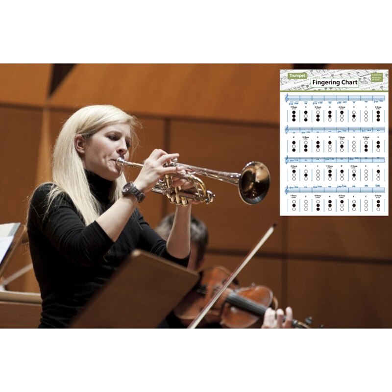 Trumpet Practice Chart Chord Trumpet Fingering Chart Trumpet Fingering Chart Music Chords Poster