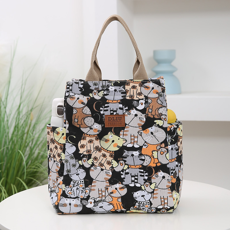 Bolsa de almuerzo con estampado de dibujos animados, bolsa Bento de lona portátil, bolso informal para mujer y bolso de mano para escuela, oficina, picnic