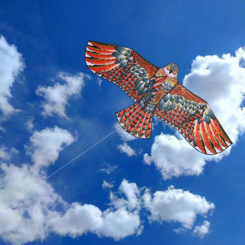 Dongzhur Adler Drachen draussen Spaß Sport Harte geflügelt Drachen Harz Stange Drachen Mit 30m Linie Kitesurf Vlieger freundlicher freundlicher spielzeug