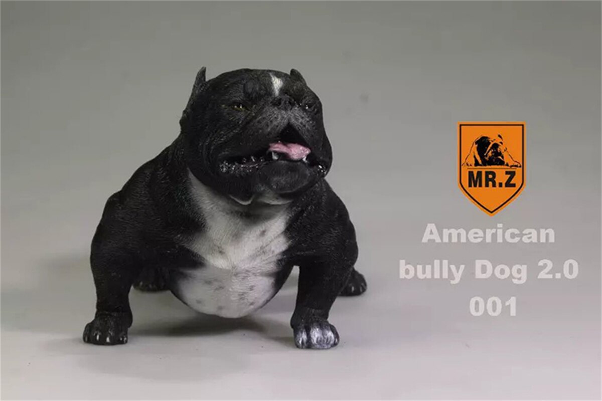 Mr.Z Studio 1:6 American Bully Pitbull Dog Pet Figure Animal Toy Collector Xmas Play Decoration Ornaments Hand To Do: 001