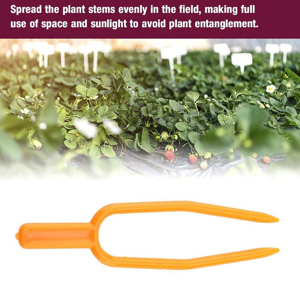Tuin Gereedschap 2000Pc Plastic Plant Clips Uitlopers Bevestiging Bevestiging Armatuur Klem Aardbei Vork Landbouw Clip