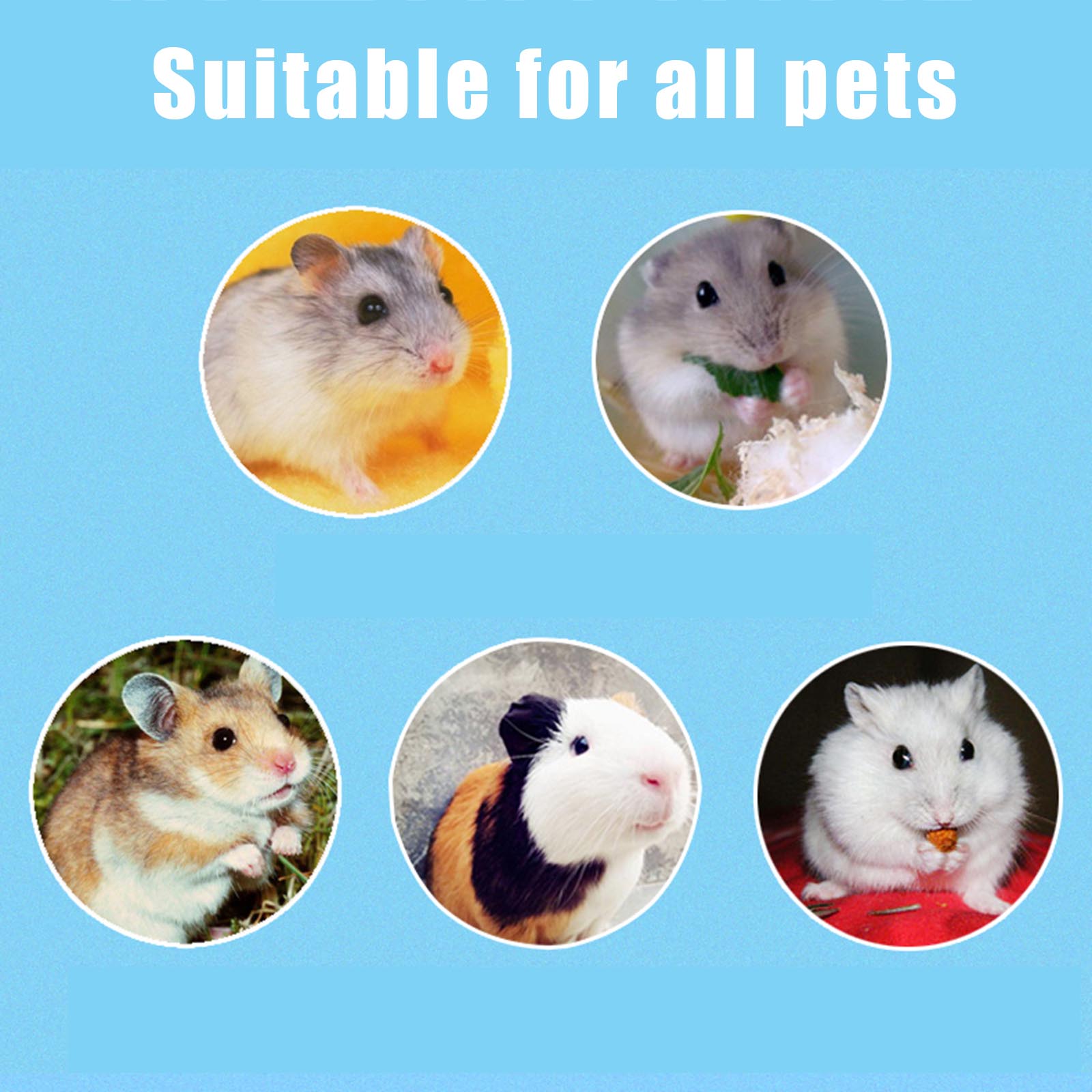 Buebro til hamster træ tyggelegetøj tænder pleje kindtand legetøj til kanin chinchilla kæledyr molar legetøj farverige mini trapper hy