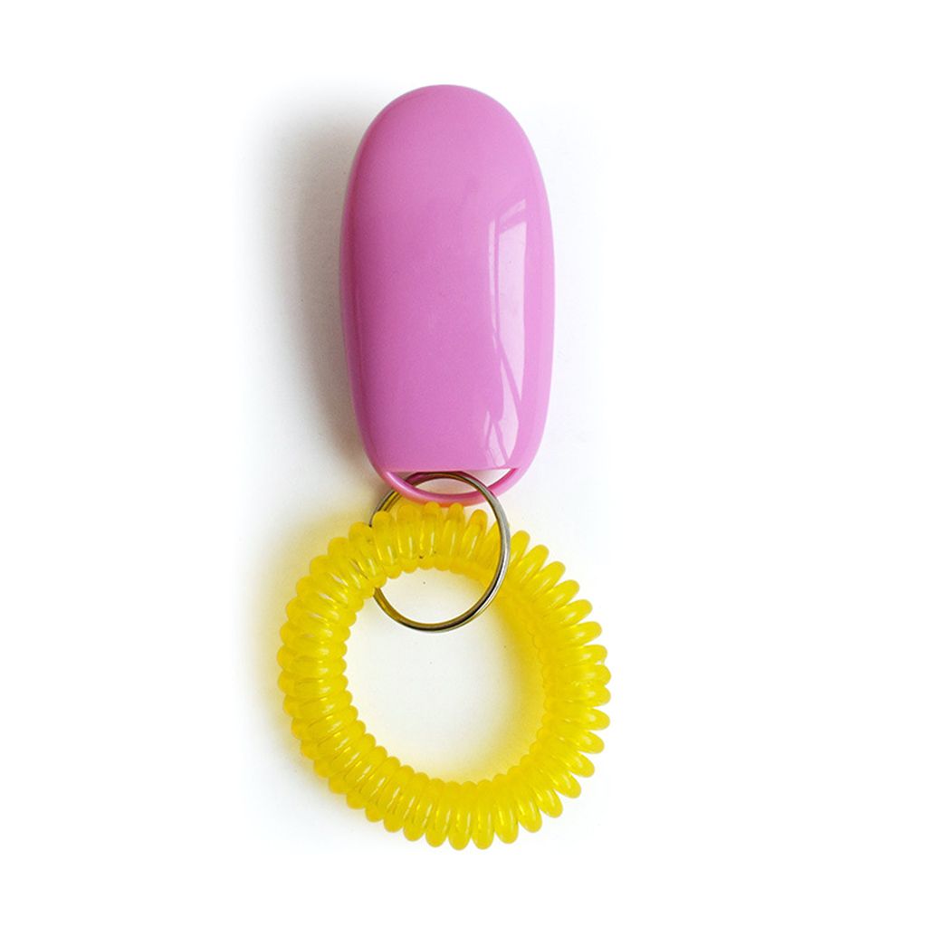 Mini Clicker pour chien de , jouets d'entraînement pour animaux de compagnie, accessoires d'obéissance, son avec dragonne: pink