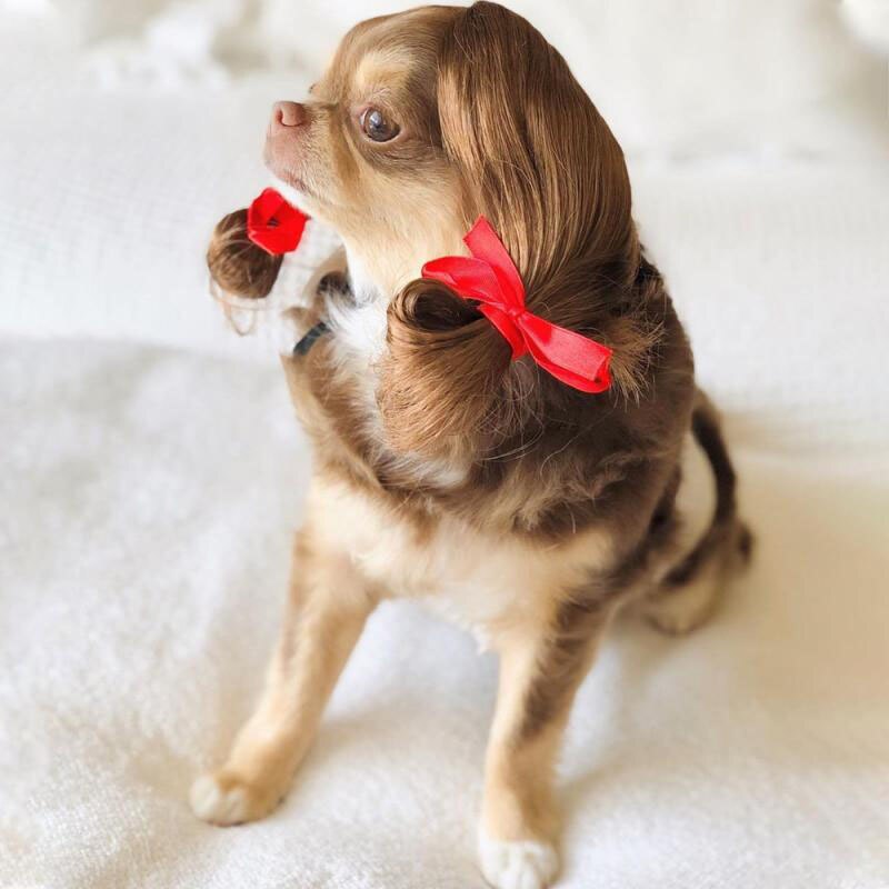 Cosplay Hond Pruik Kostuum Vermomming Pruiken Voor Honden Katten Grappige Halloween Pak Kerst Huisdieren Hond Accessoires Franse Bulldog: Brown Double Hair