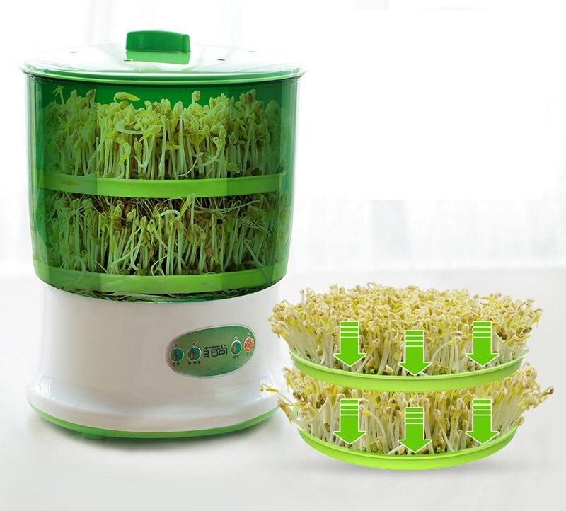 Bean sprouts machine household automatic multi-function large capacity hair bean tooth machine food processing and home applianc: Layer 2      220V / EU