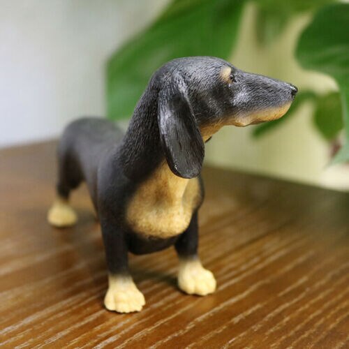 JJM-figura de perro Dachshund Dackel Teckel, coleccionista de mascotas, decoración de coche, Animal de juguete, modelo educativo de PVC para niños, adultos y niños,