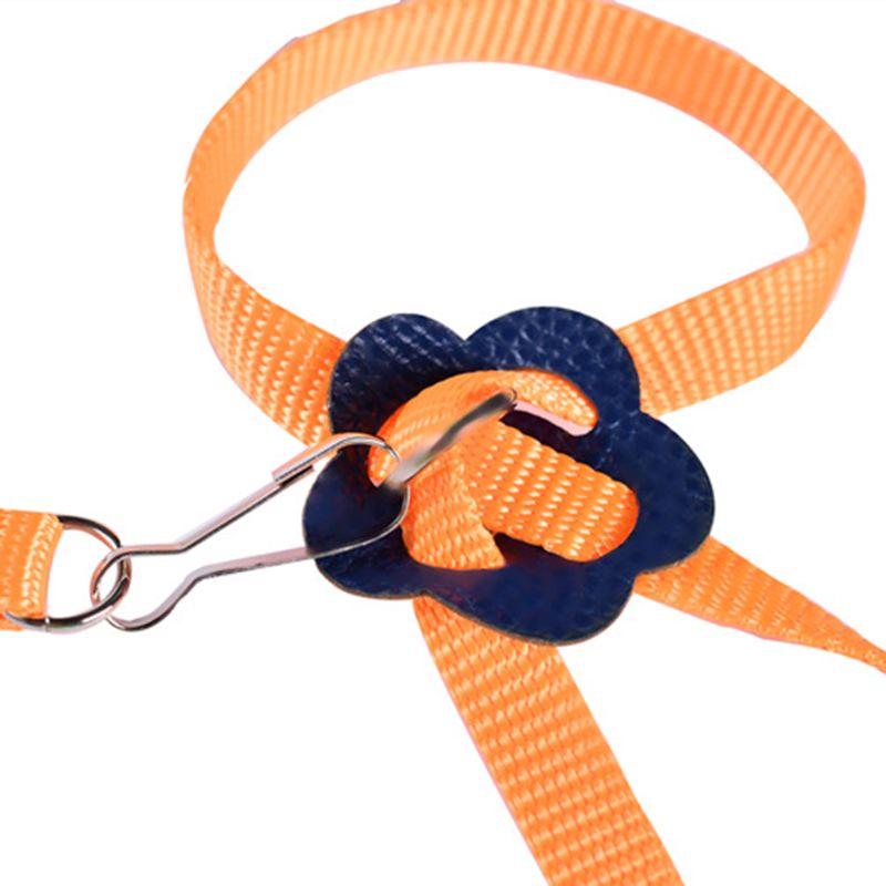 Harnais à col d'oiseau coloré, réglable, Hamster, tortue, lézard, corde de Traction, rênes, collier en forme de 8, laisse pour animaux de compagnie