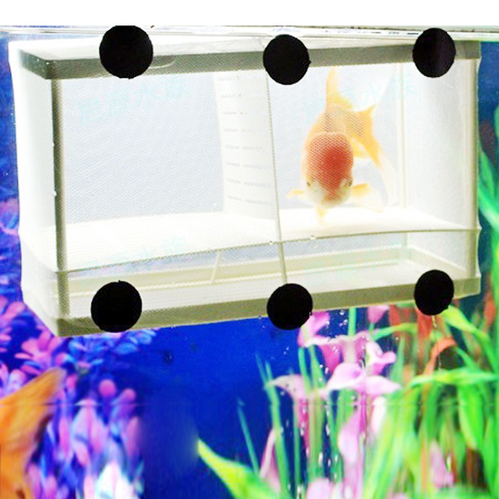Isolation Mesh Box Suction Cup Fish Breeding Incubator Net Aquarium Hanging Hatchery Box