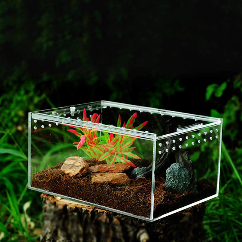 Transparante Reptiel Acryl Fokken Doos Amfibie Terrarium Schildpad Tank Scorpion Hagedissen Roach Ongewervelden Insect Mantis