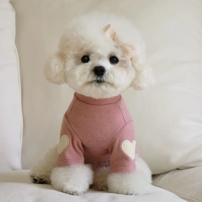 Love Winter Warm Pet Dog Clothes Base Shirt Cute Love Bear Teddy Yorkshire Hoodie Cat Pet Warm Clothes Designer Puppy Clothing: M / Czerwony