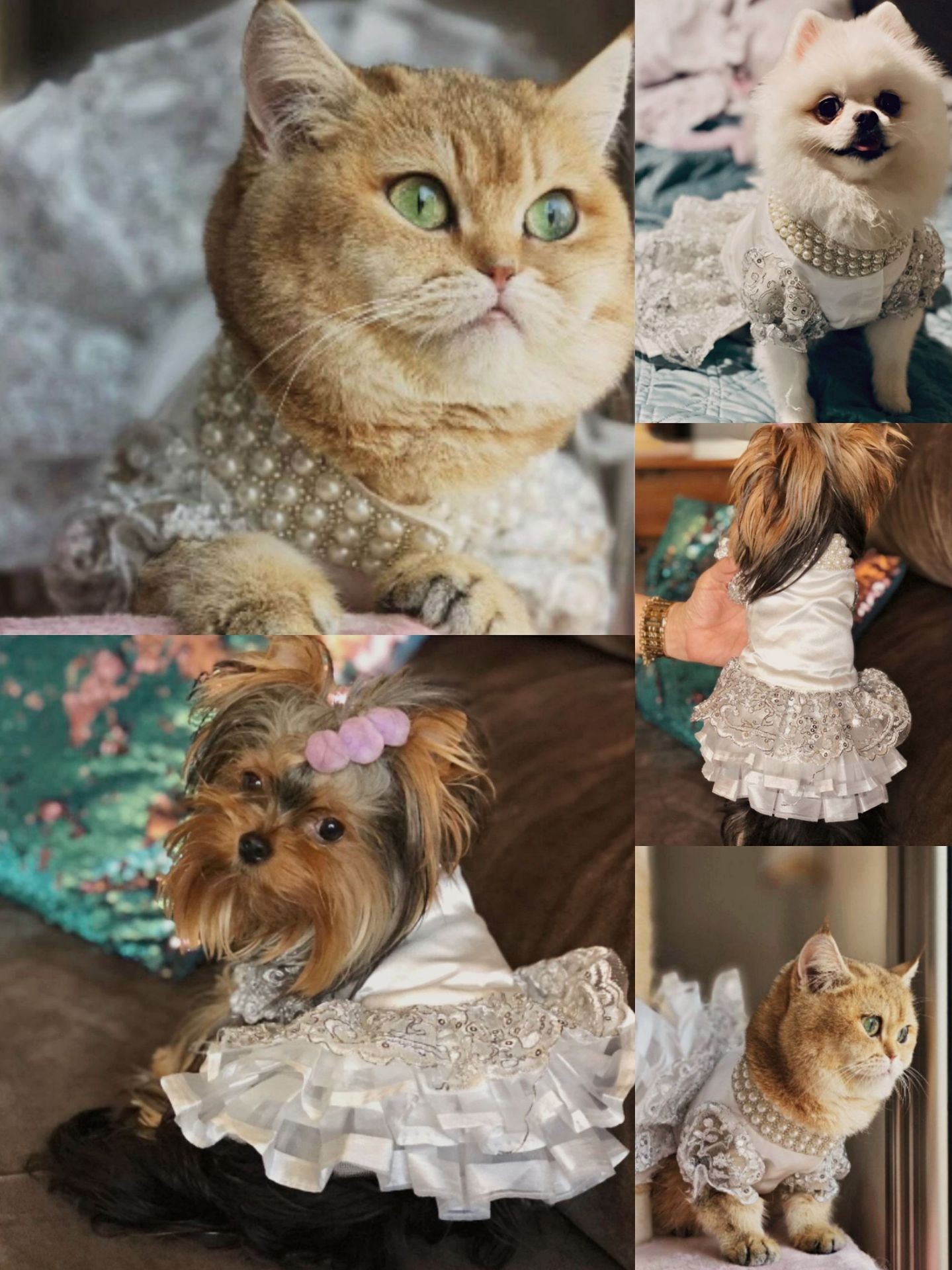 Vestido de boda de lujo para perros y gatos, falda para cachorros, tutú para mascotas, suministros para disfraces de novia, varias princesas, XS a 4XL
