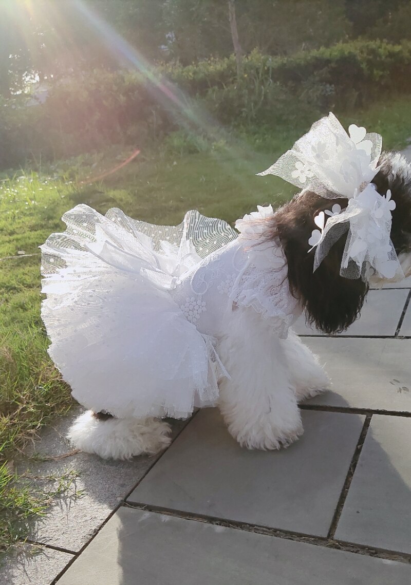 Suknia ślubna dla psa letnie ubranie dla psa ubrania dla psa spódniczka dla szczeniaka Yorkshire maltańnarty pomorski pudel Bichon kostium dla zwierząt sukienki dla psów