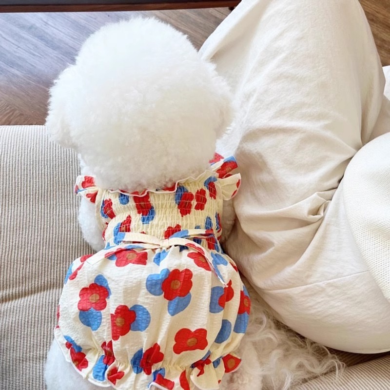 Robe d'été à fleurs pour chien, vêtements de princesse mignons pour chat et chien, Chihuahua Frnench bouledogue Bichon, Costume pour chien, jupe pour animaux de compagnie