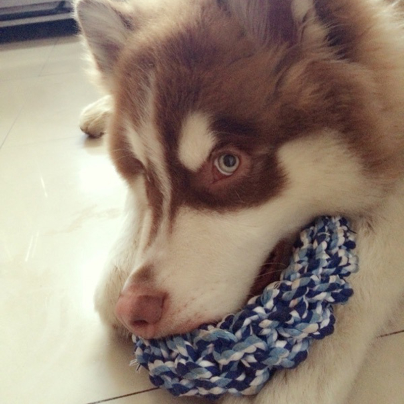 Juguete de cuerda resistente a las mordeduras para perros grandes y medianos, duradero, Golden Retriever, Pitbull, Labrador, suministros para mascotas