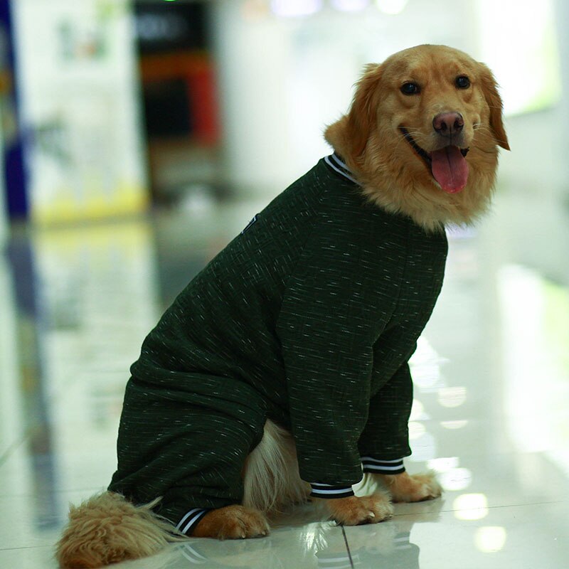 Lemmikkikoiran vaatteet talvi iso iso koira asu haalari pyjamat corgi kultainennoutaja husky labradorinkoiran haalarit lemmikin puku takki