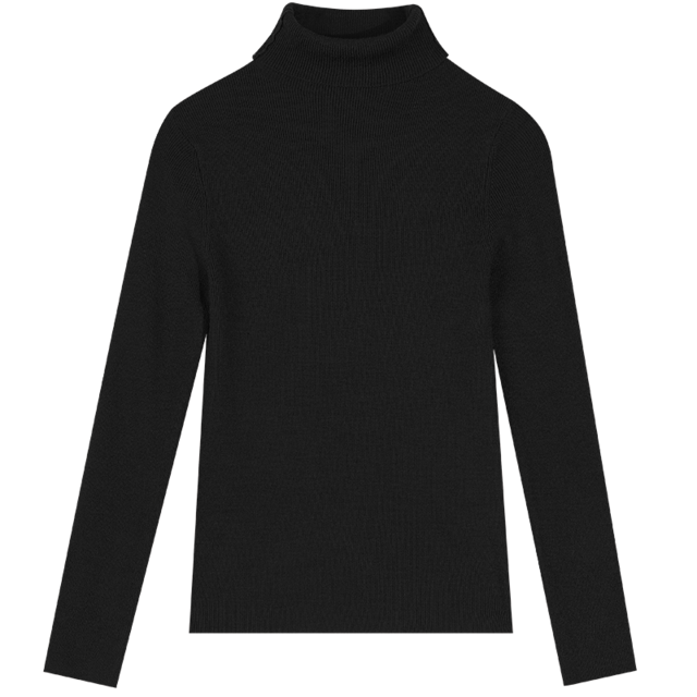 ELFSACK Solid Pure Casual Knitted Pullover Women Slim Sweaters Autumn ELF Full Sleeve,Korean Female Basic Daily Tops: Black