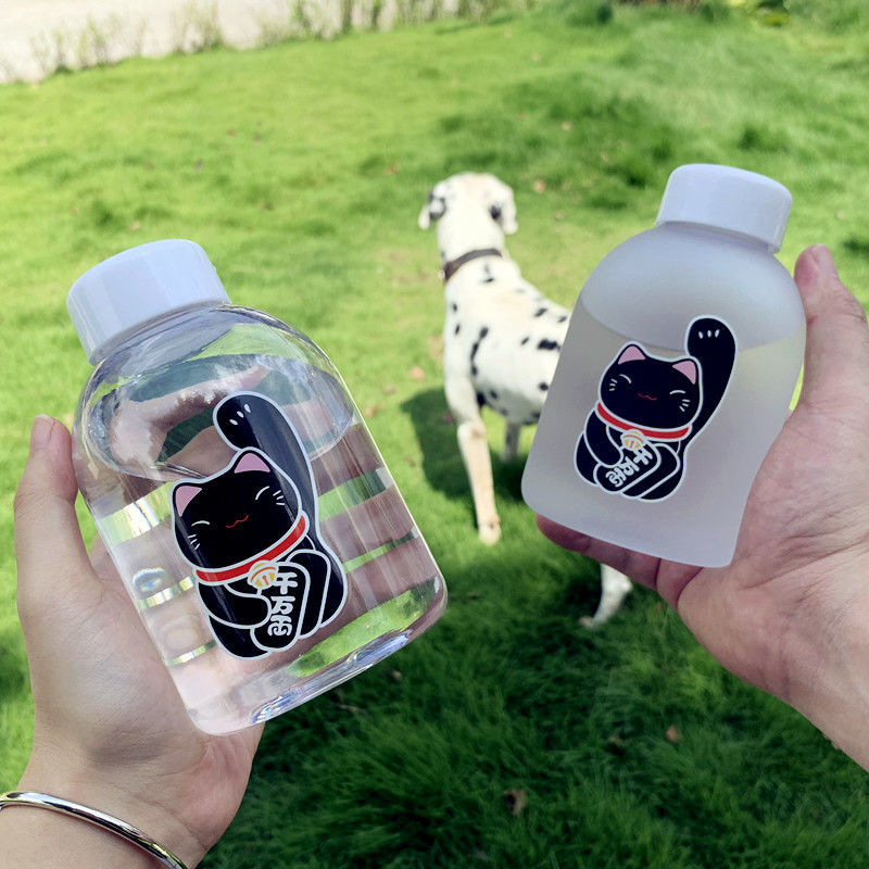 500ml chat chanceux bouteille en plastique sans BPA dessin animé Transparent/givré bouteilles d'eau étanche Drinkware mignon étudiant tasse