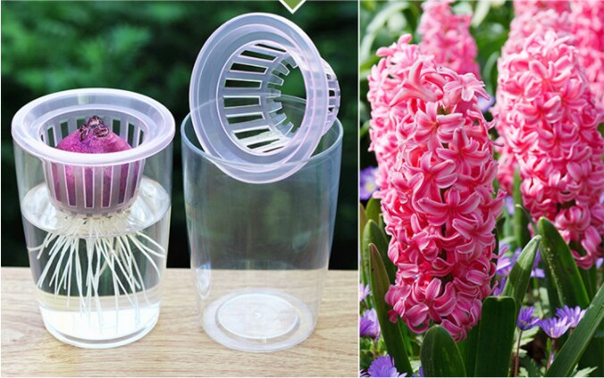 REZAA bloemenvaas wit transparant glazen vaas 22cm - Grote bloempot