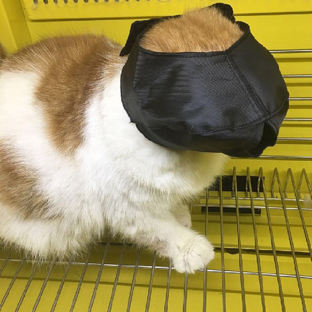 Cat Protective Cover Muzzle Blindfold Patch Pet Ey... – Vicedeal