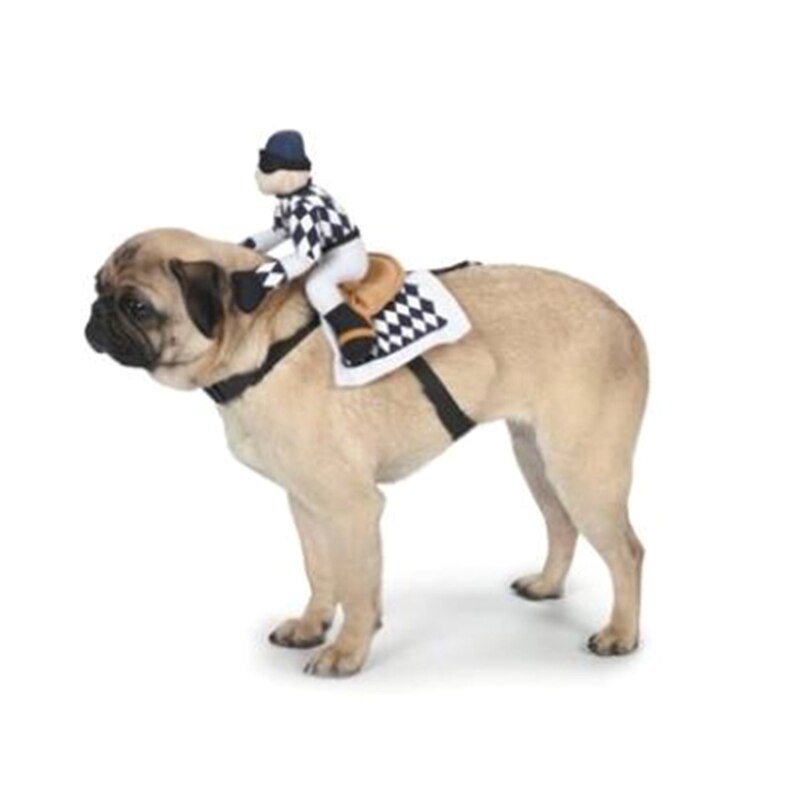 Sjov kæledyr ridning hest kostume hund rytter tøj halloween chrismas sød jakkesæt  t8we