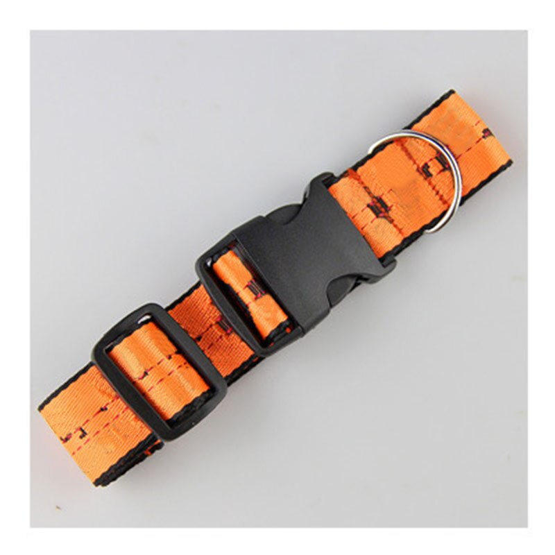 Halsband En Riem Set Mode Nylon Pet Collares Touw Voor Kleine Middelgrote Honden Halsbanden Perro Chihuahua Bulldog Perros Acesorios: Orange Dog Collar