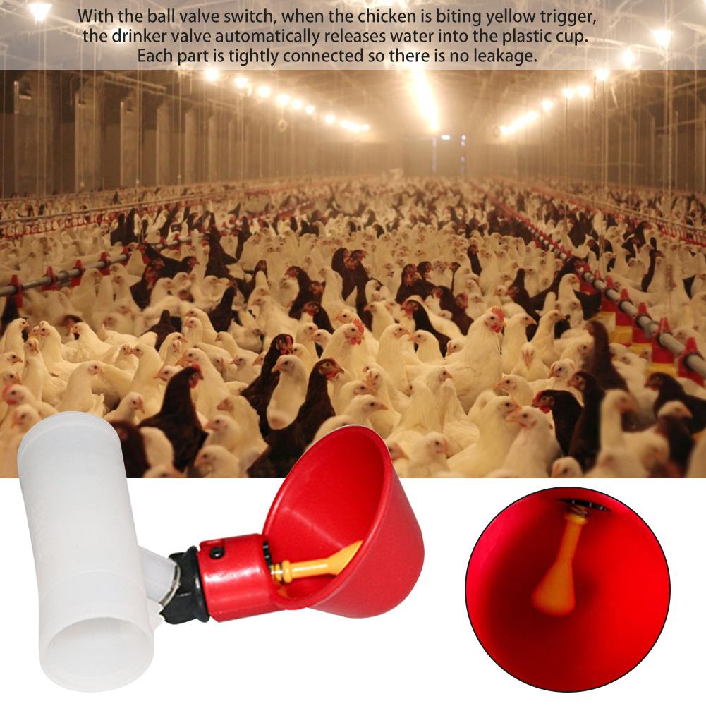 5 stuks automatische plastic drinkbekers voor kippen, drinkbak voor pluimvee, waterdrinkbak voor vogels, kwartels, duiven en kippen
